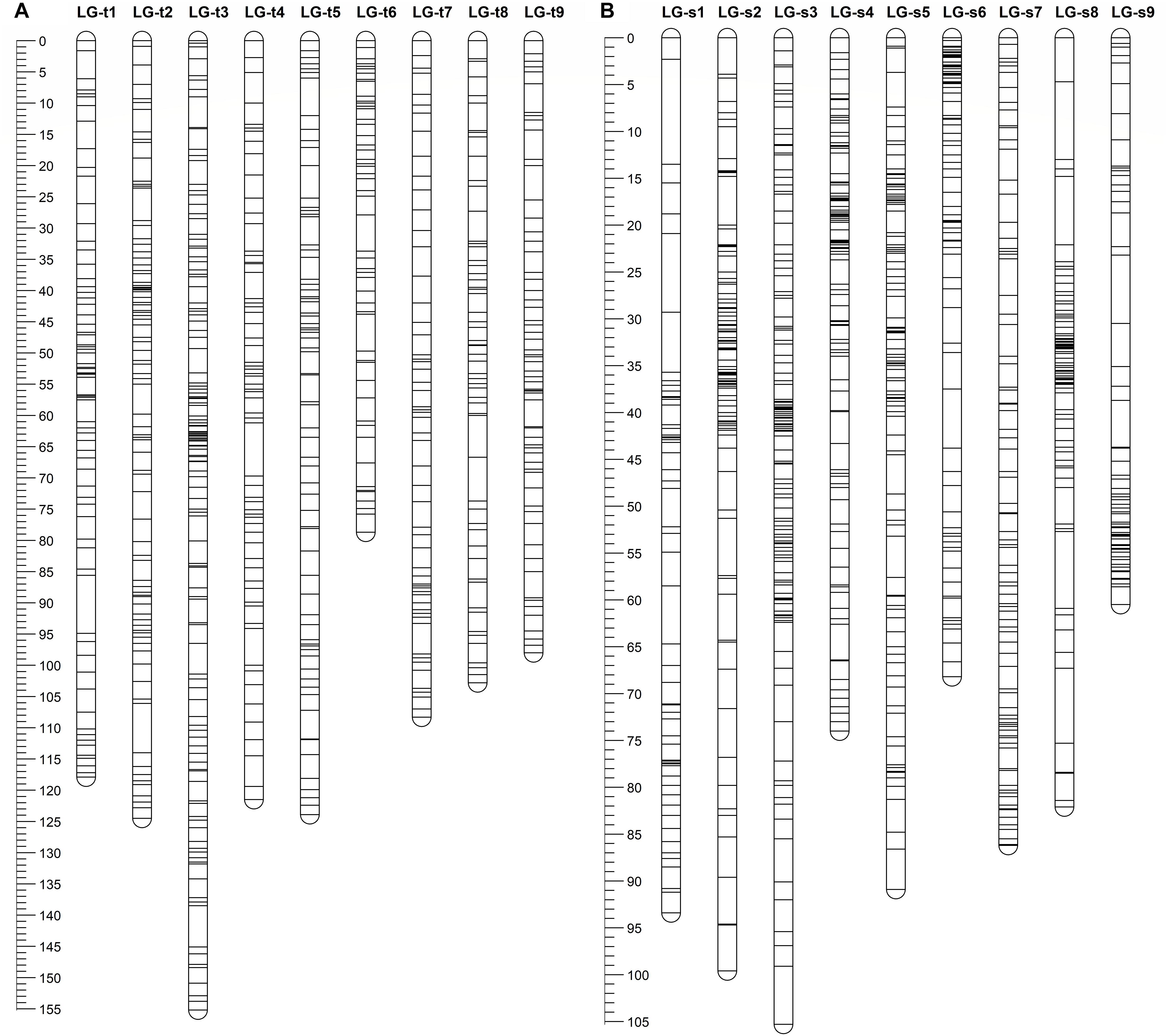 Cim 1061 Coverage Chart