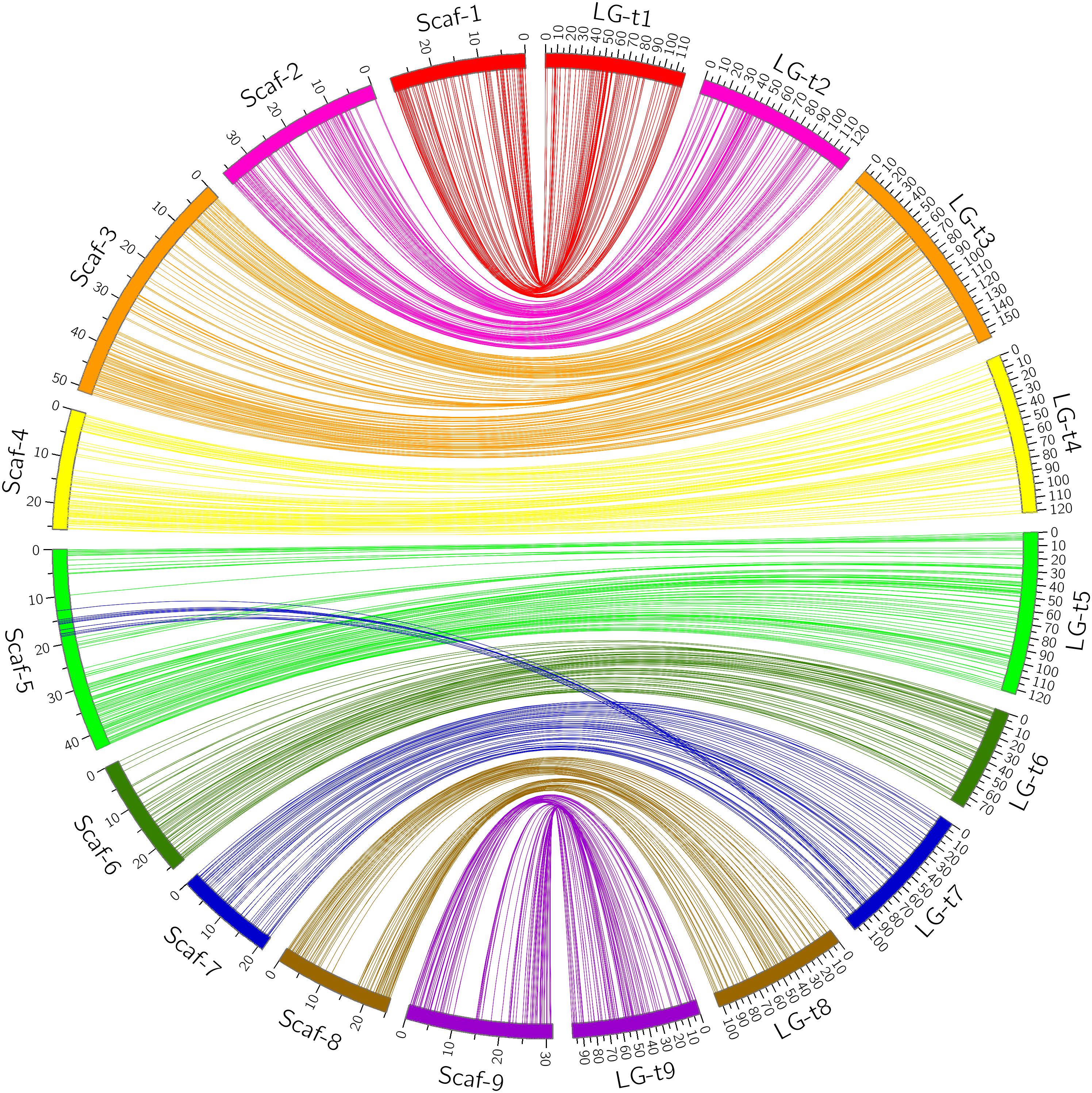 Frontiers | Construction of High-Density Genetic Maps and Detection of ...