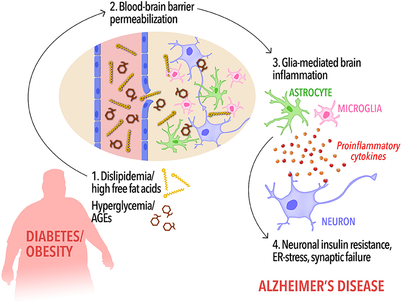 New Insights into the Biological and Pharmaceutical Properties of Royal Jelly