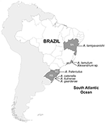 www.frontiersin.org