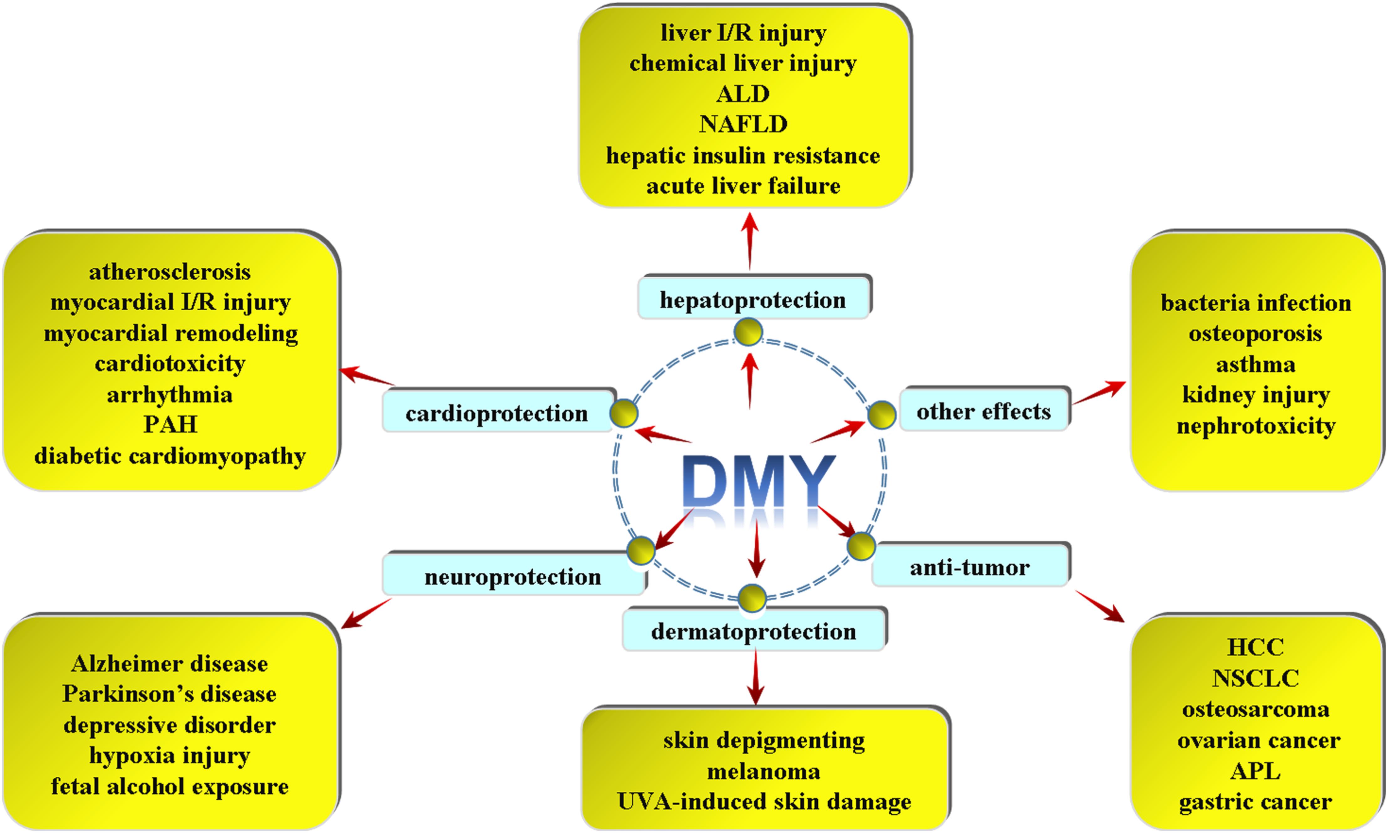 Functions of Dihydromyricetin Functions of Dihydromyricetin