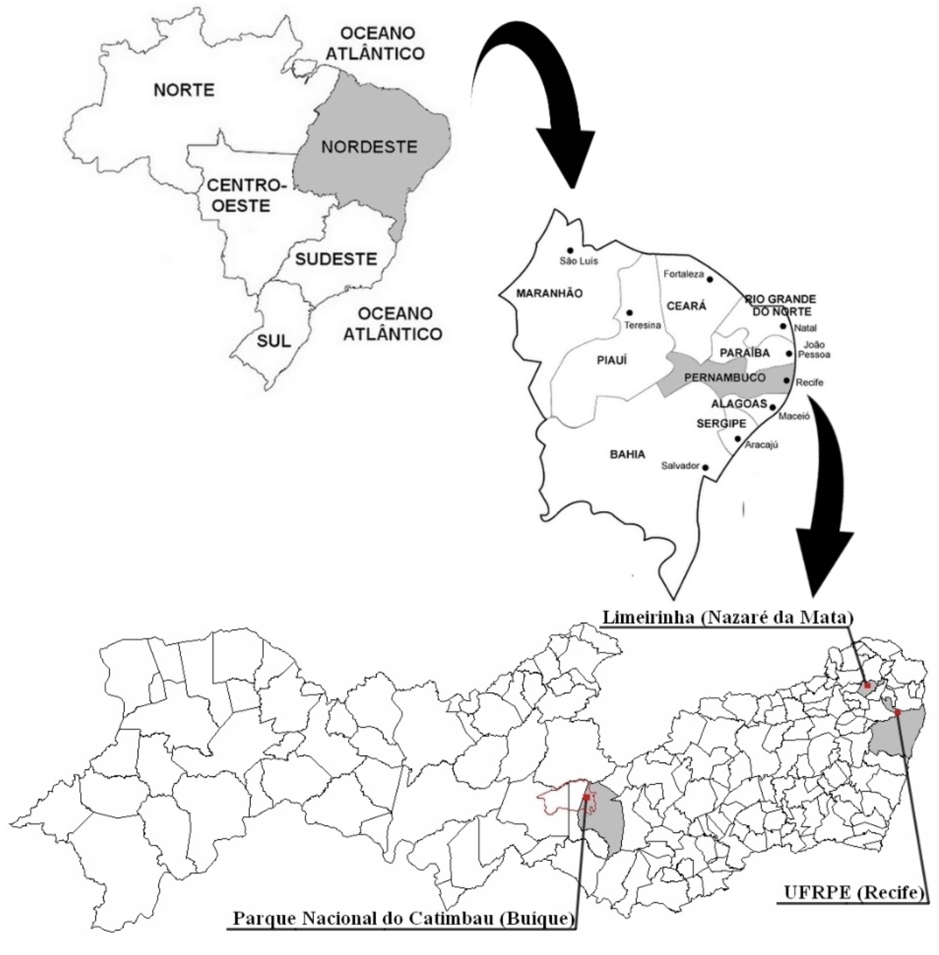 www.frontiersin.org