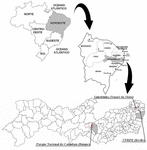 www.frontiersin.org