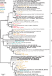 www.frontiersin.org