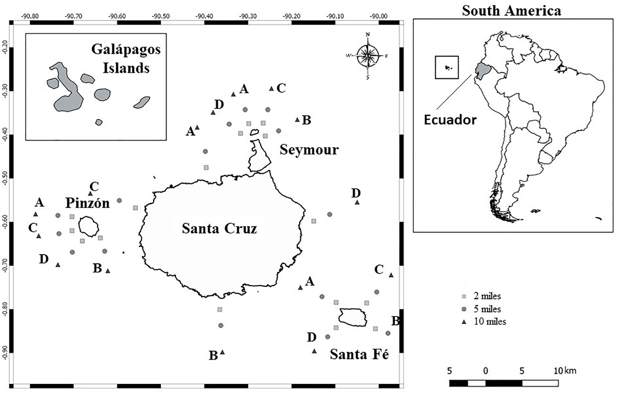 Frontiers Marine Dinoflagellate Assemblage In The Galapagos