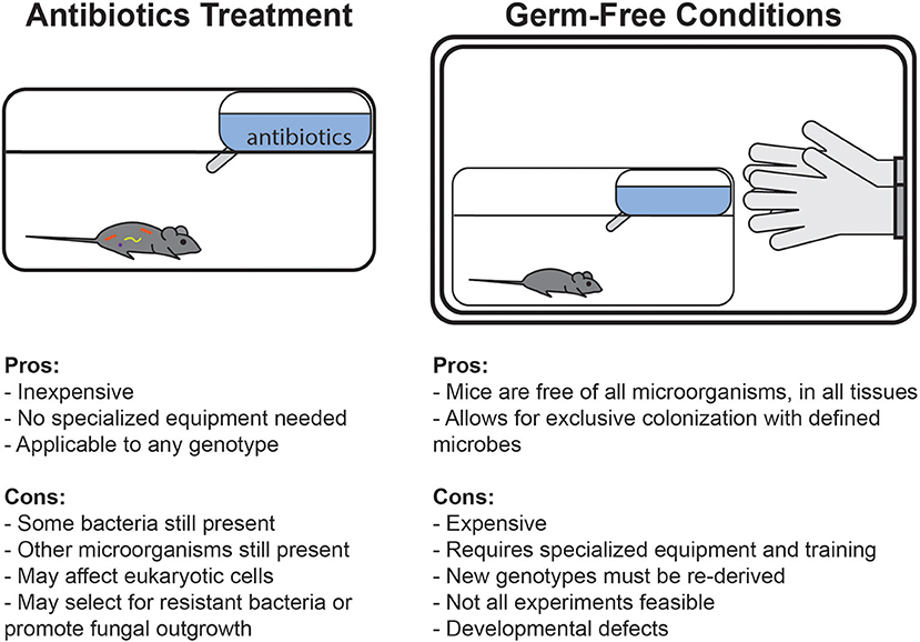 Microorganisms, Free Full-Text