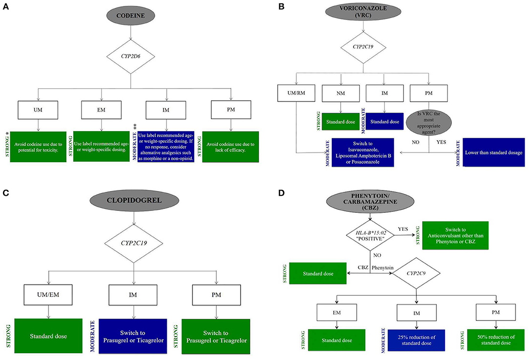 Icu Medications Chart