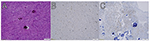 www.frontiersin.org