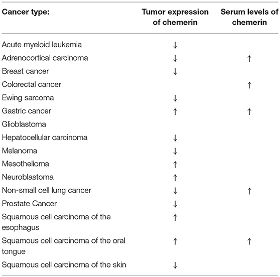 mesothelioma epididymis