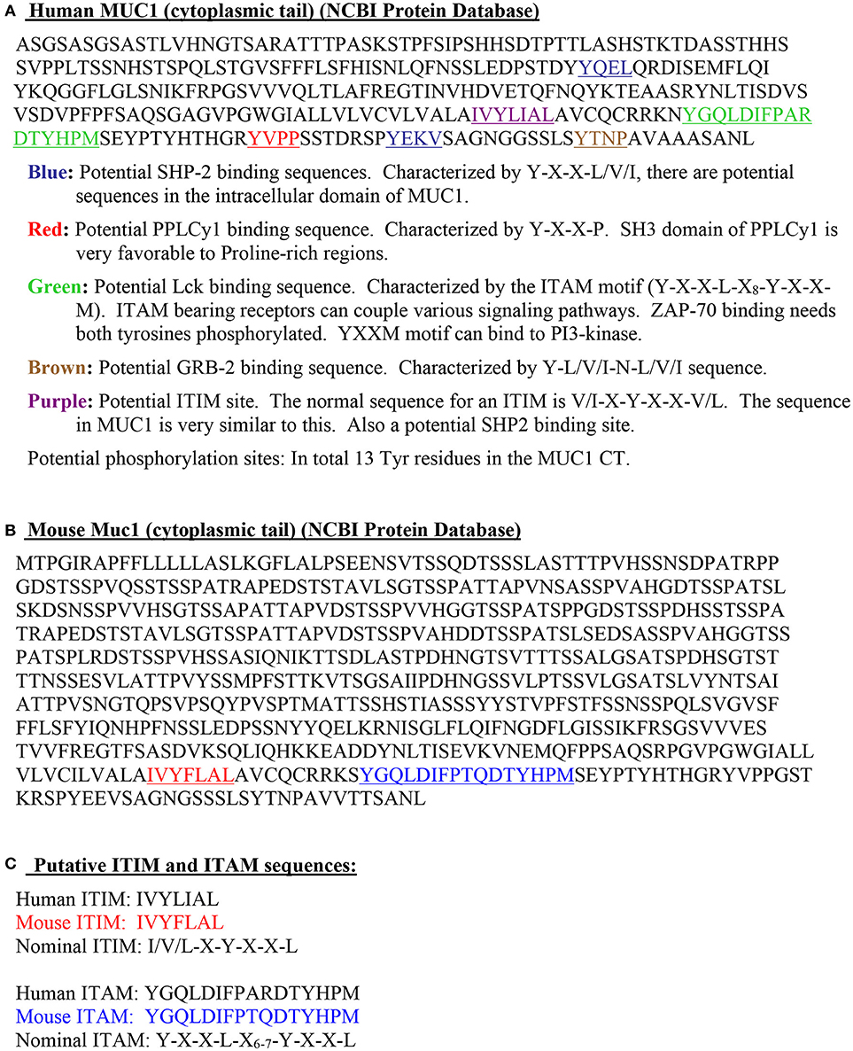 www.frontiersin.org
