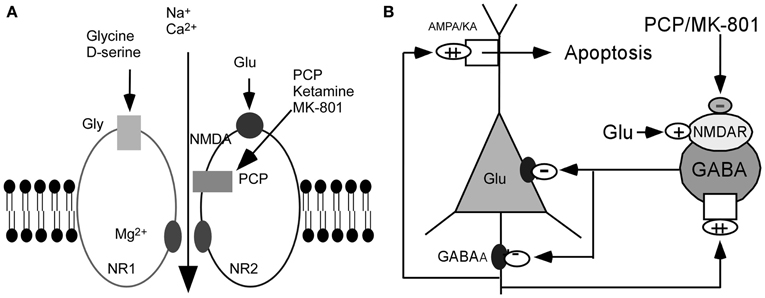 nmda psychosis