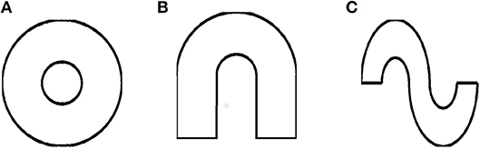 www.frontiersin.org