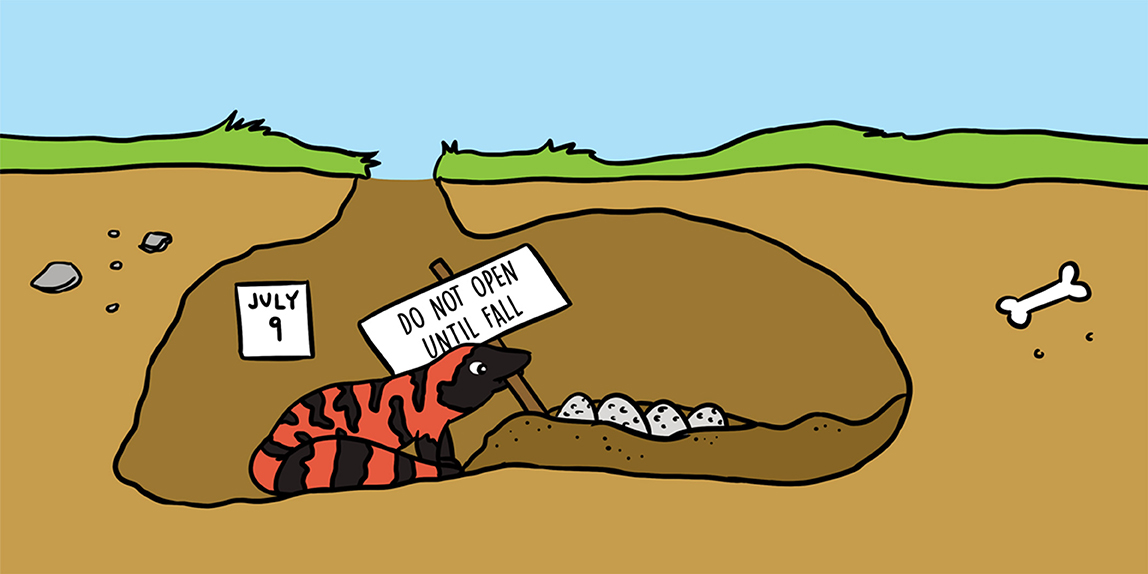 The Gila Monster Egg Puzzle · Frontiers for Young Minds The Gila Monster Egg Puzzle · Frontiers for Young Minds