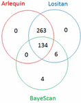 Frontiers | Haplotype Loci Under Selection in Canadian Durum Wheat ...