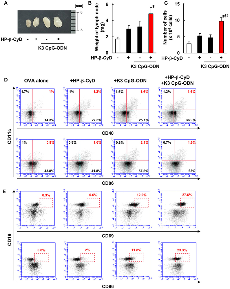 Frontiers Damp Inducing Adjuvant And Pamp Adjuvants Parallelly Enhance Protective Type 2 And Type 1 Immune Responses To Influenza Split Vaccination Immunology