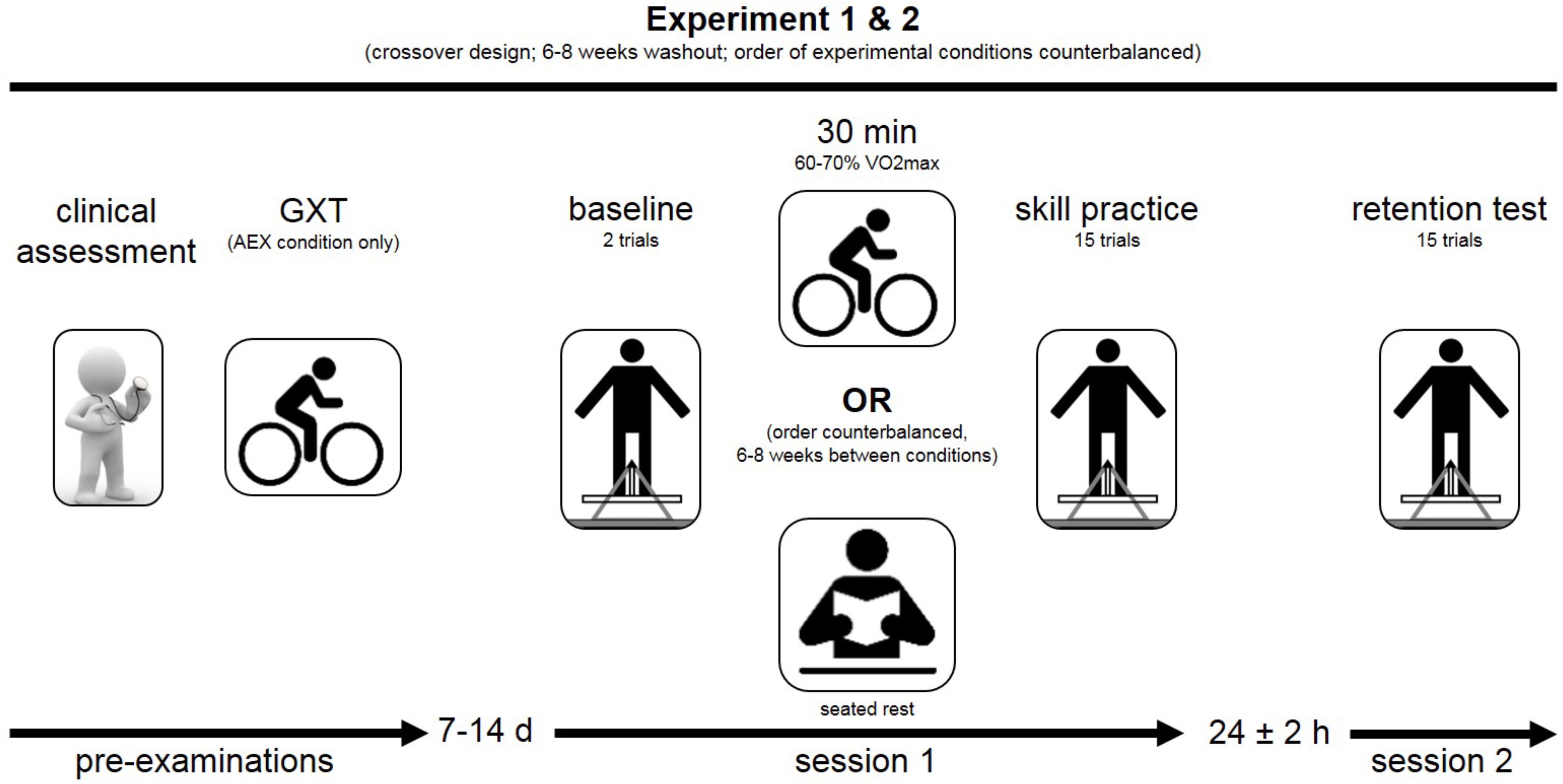 Frontiers A Single Bout Of Aerobic Exercise Improves Motor Skill