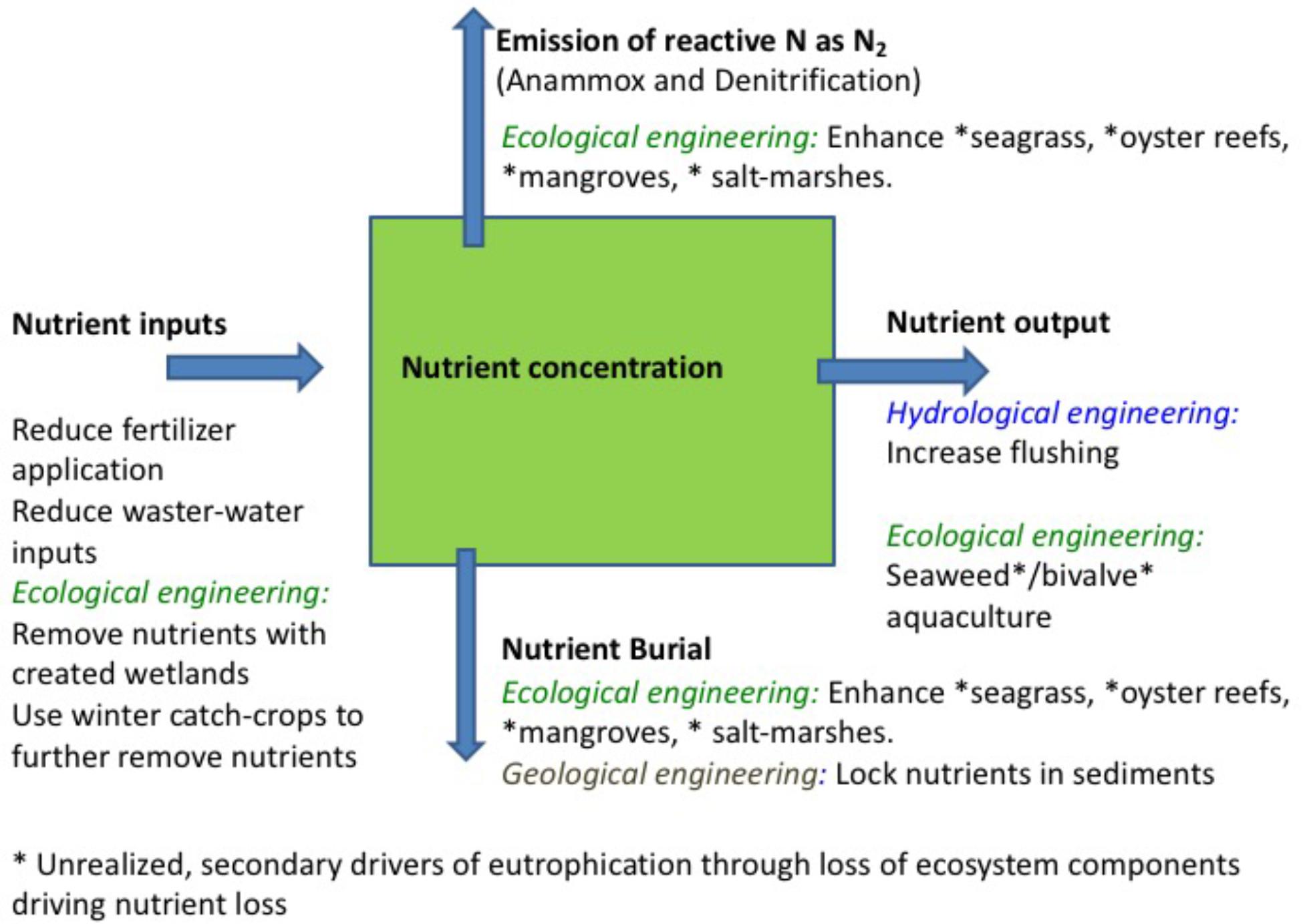 Current threats to coastal seagrass ecosystems – Shark Research &  Conservation Program (SRC)