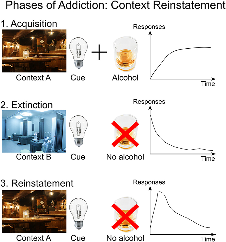Figure 2 - The phases of addiction.