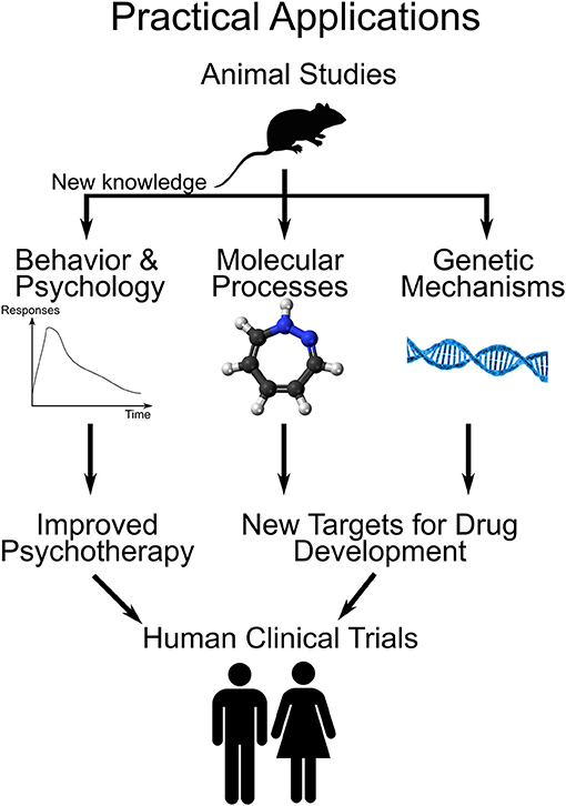Figure 3 - Practical applications of addiction research on animals.