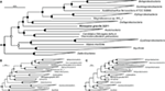 www.frontiersin.org