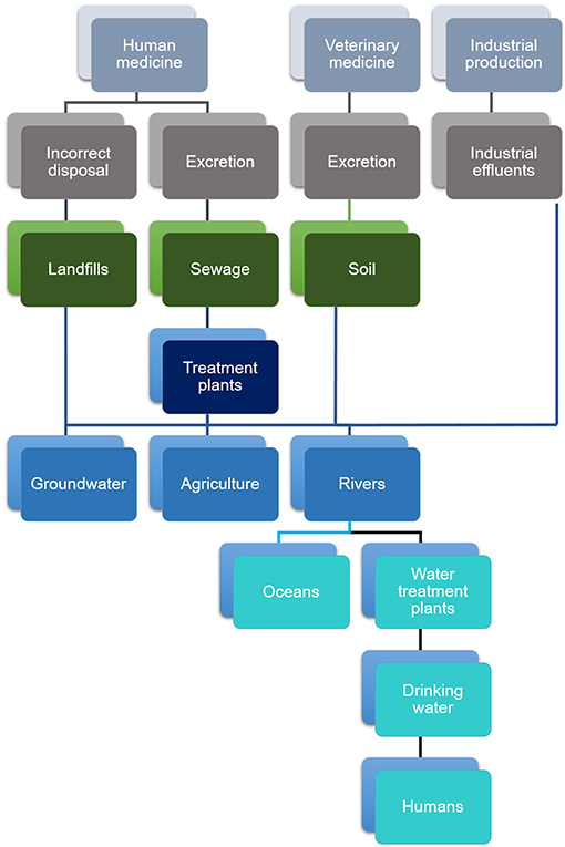 Figure 1 - Routes by which medicines get into the environment.