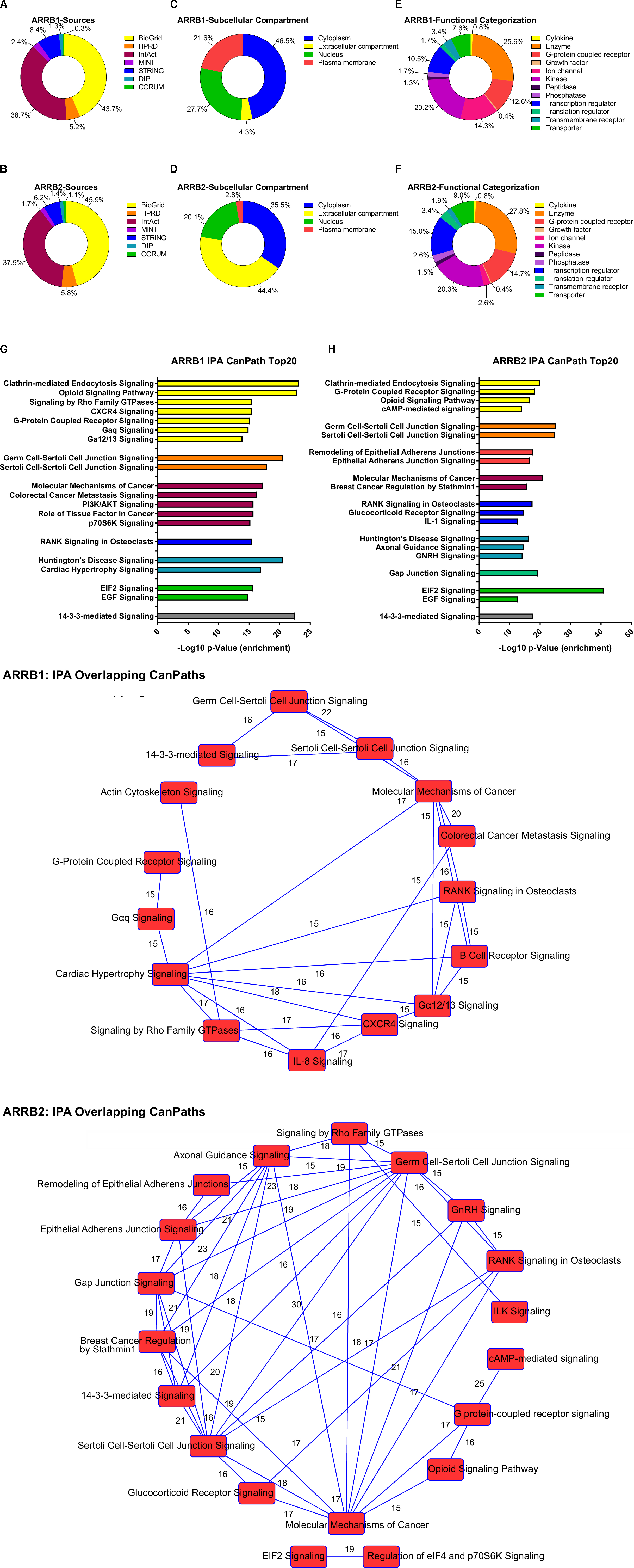 Frontiers B Arrestin Based Receptor Signaling Paradigms Potential Therapeutic Targets For Complex Age Related Disorders Pharmacology