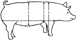 www.frontiersin.org
