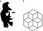 www.frontiersin.org