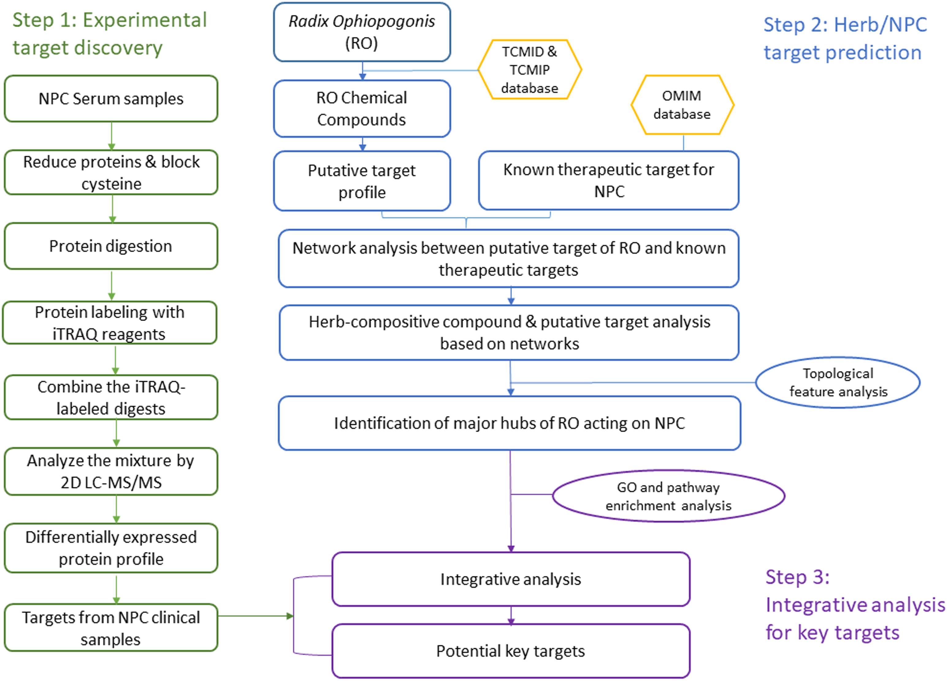 Frontiers Deciphering The Pharmacological Mechanism Of The Herb Radix Ophiopogonis In The Treatment Of Nasopharyngeal Carcinoma By Integrating Itraq Coupled 2 D Lc Ms Ms Analysis And Network Investigation Pharmacology