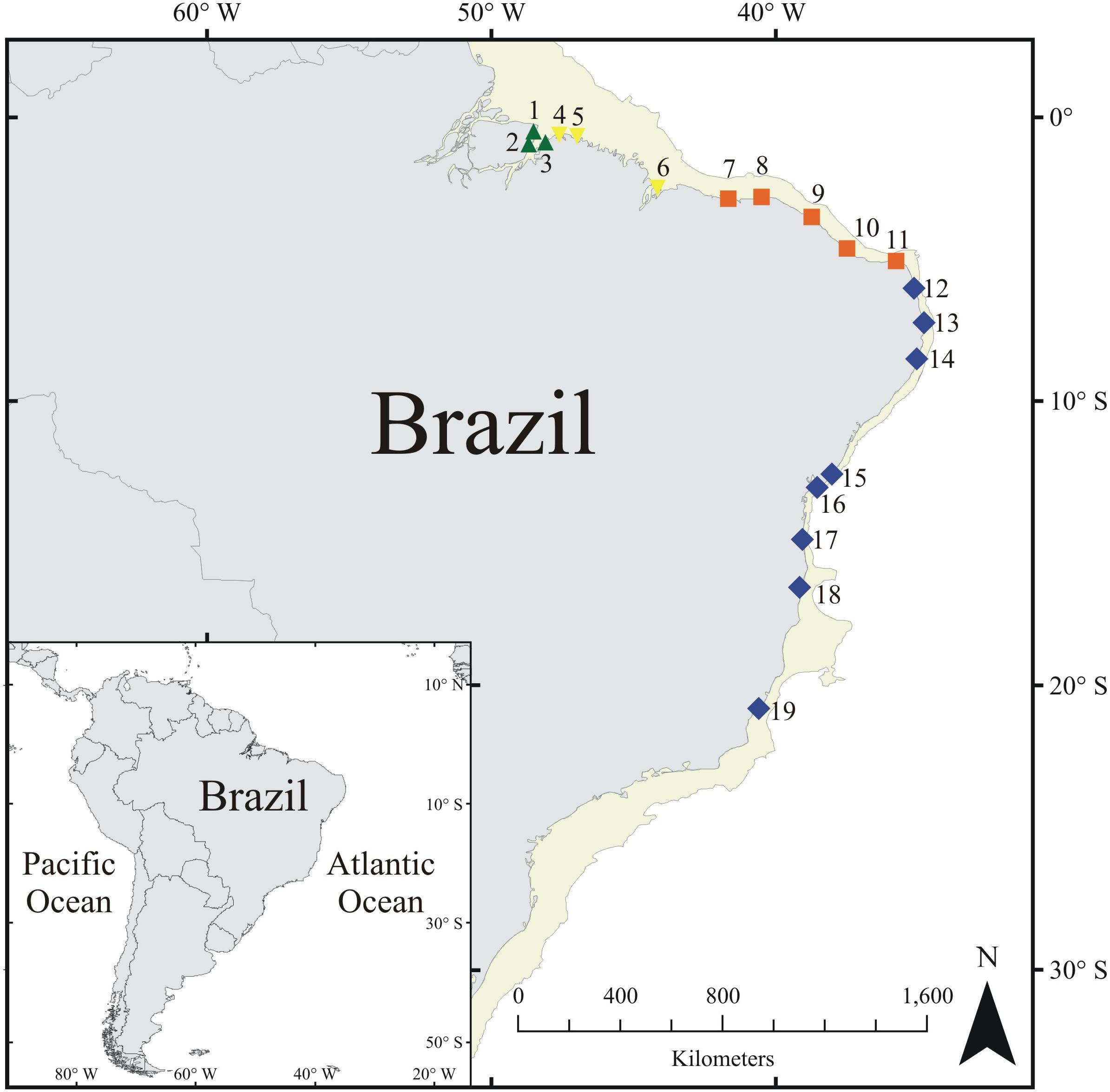 Location of the Brazilian coral-reef regions sensu Spalding et al