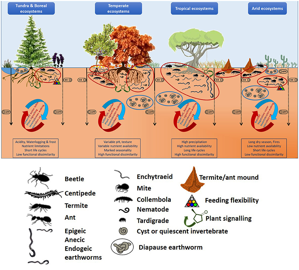 Soil Systems, Free Full-Text