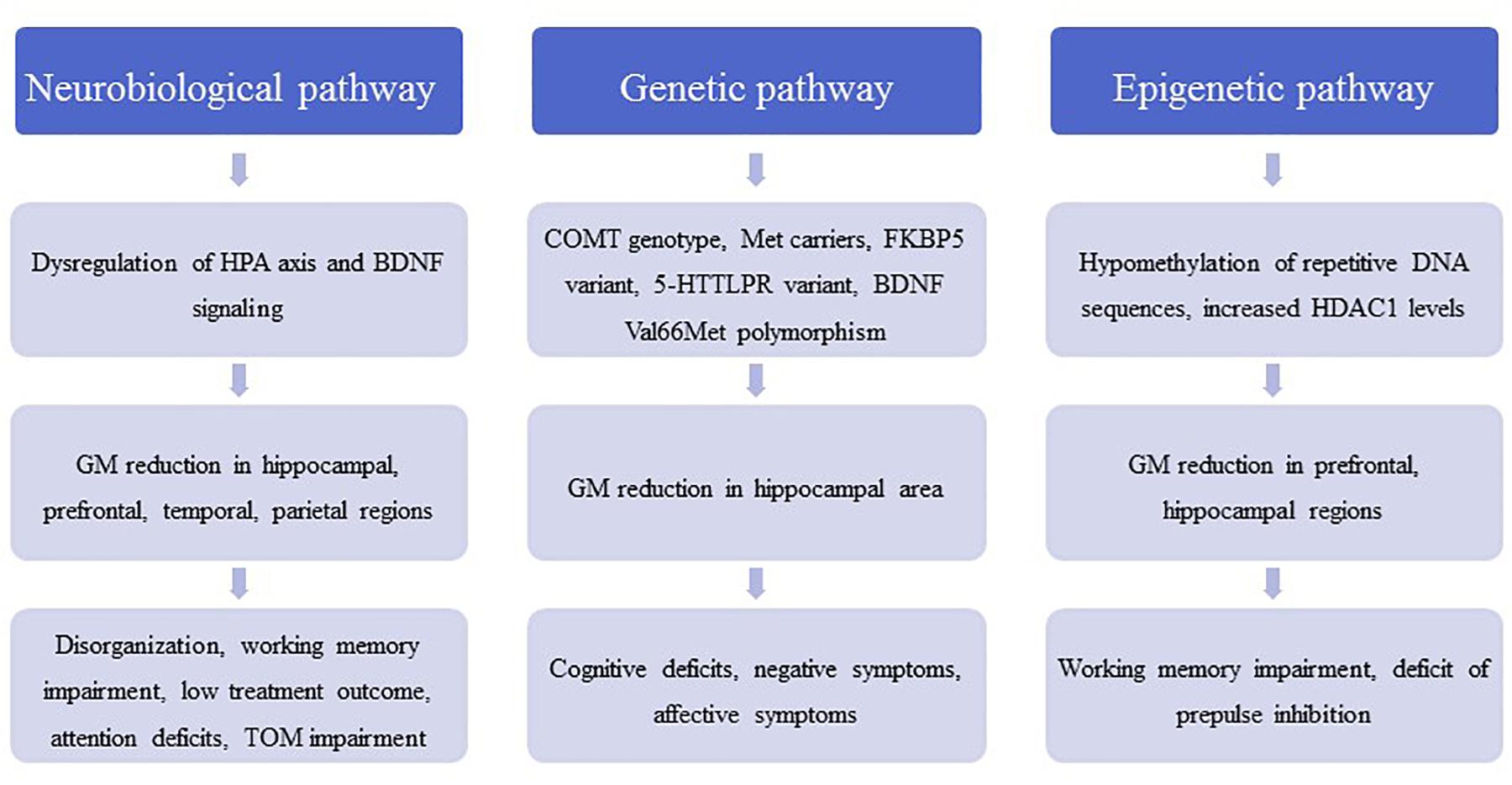 Frontiers  Childhood Trauma in Schizophrenia: Current Findings