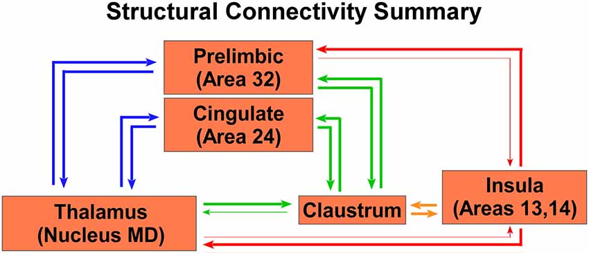 www.frontiersin.org