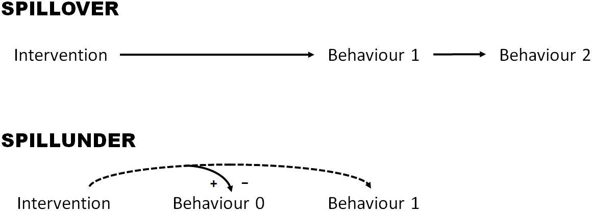 Frontiers  How to Measure Behavioral Spillovers: A Methodological Review  and Checklist