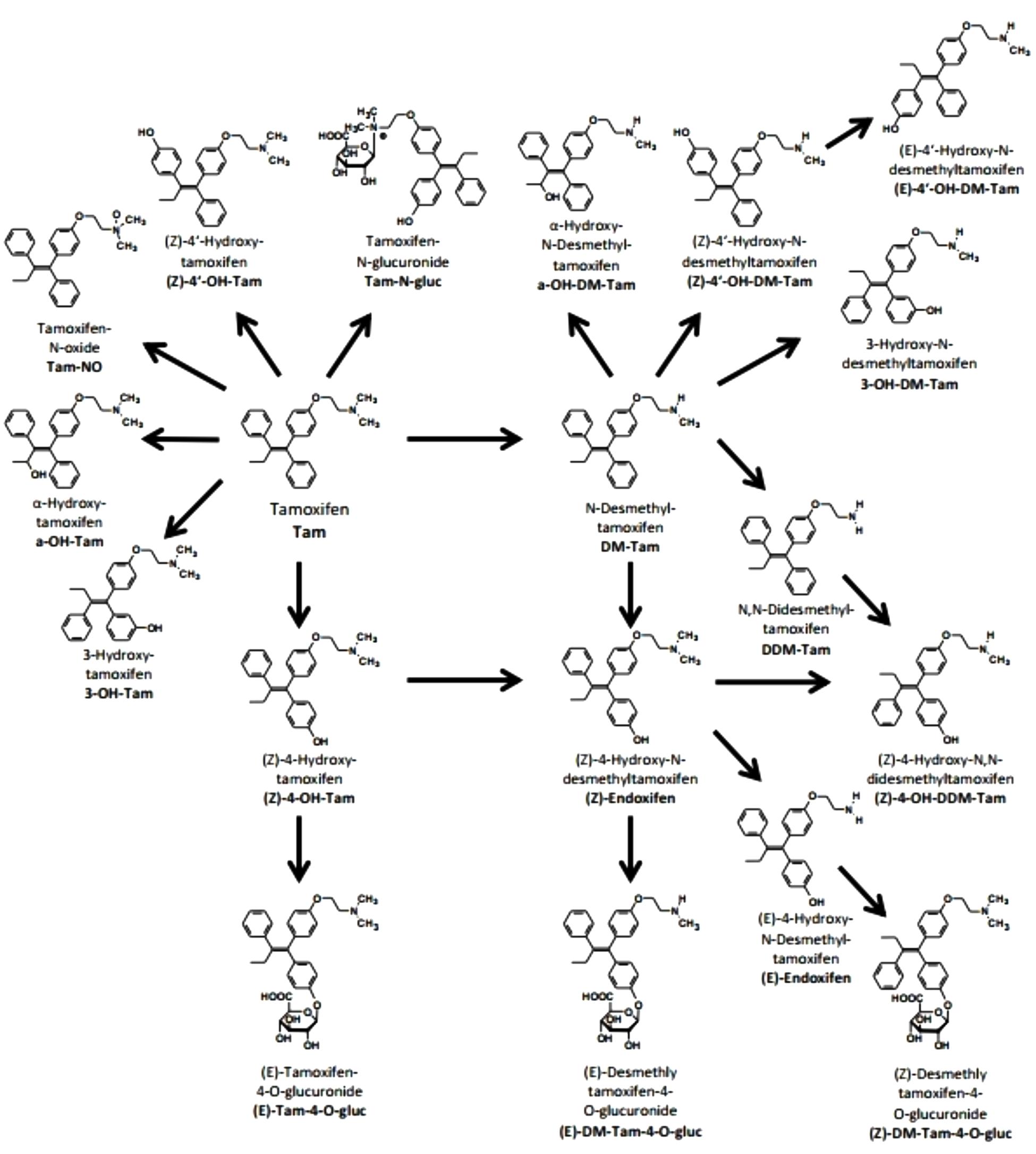 Tamoxifen Barato
