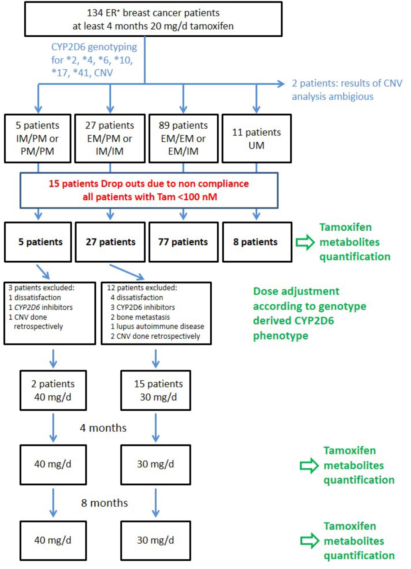 CYP2D6 polymorphisms influence tamoxifen treatment outcomes in