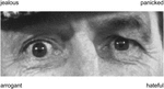 www.frontiersin.org