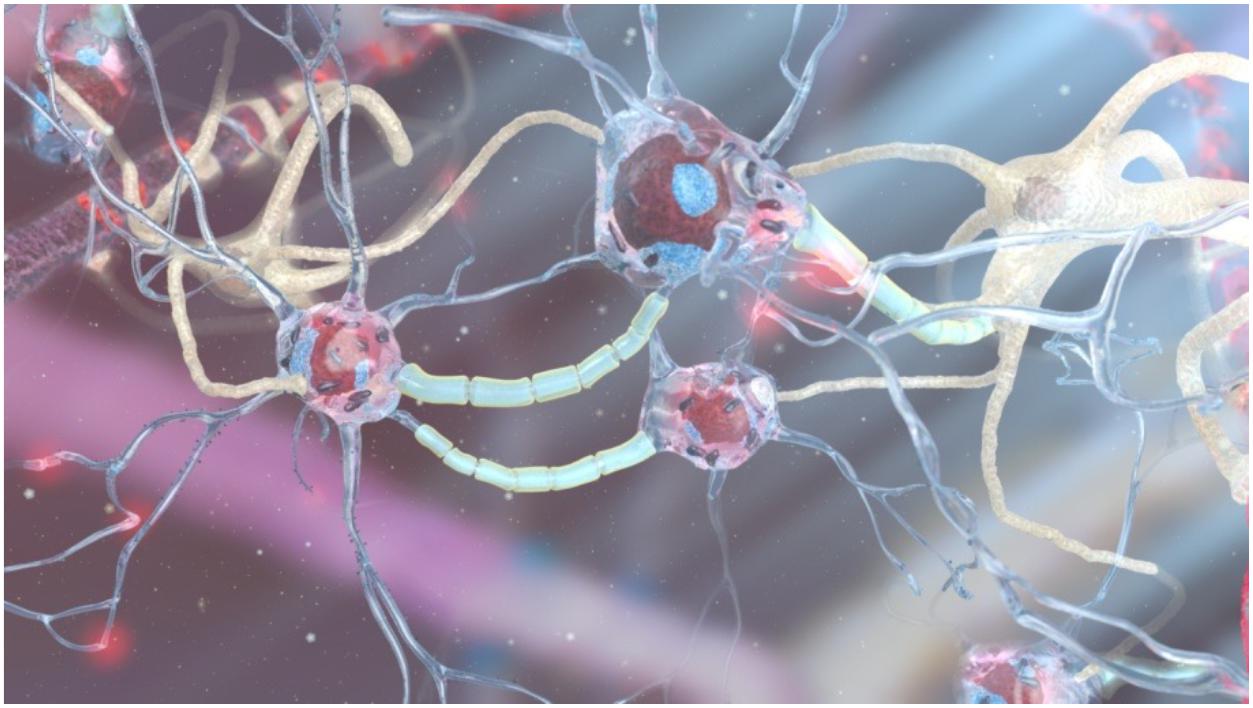 a human brain contains both biological and artifical networks that combined  together to create an interface which reclects neural networks between  reality and imagination on Craiyon