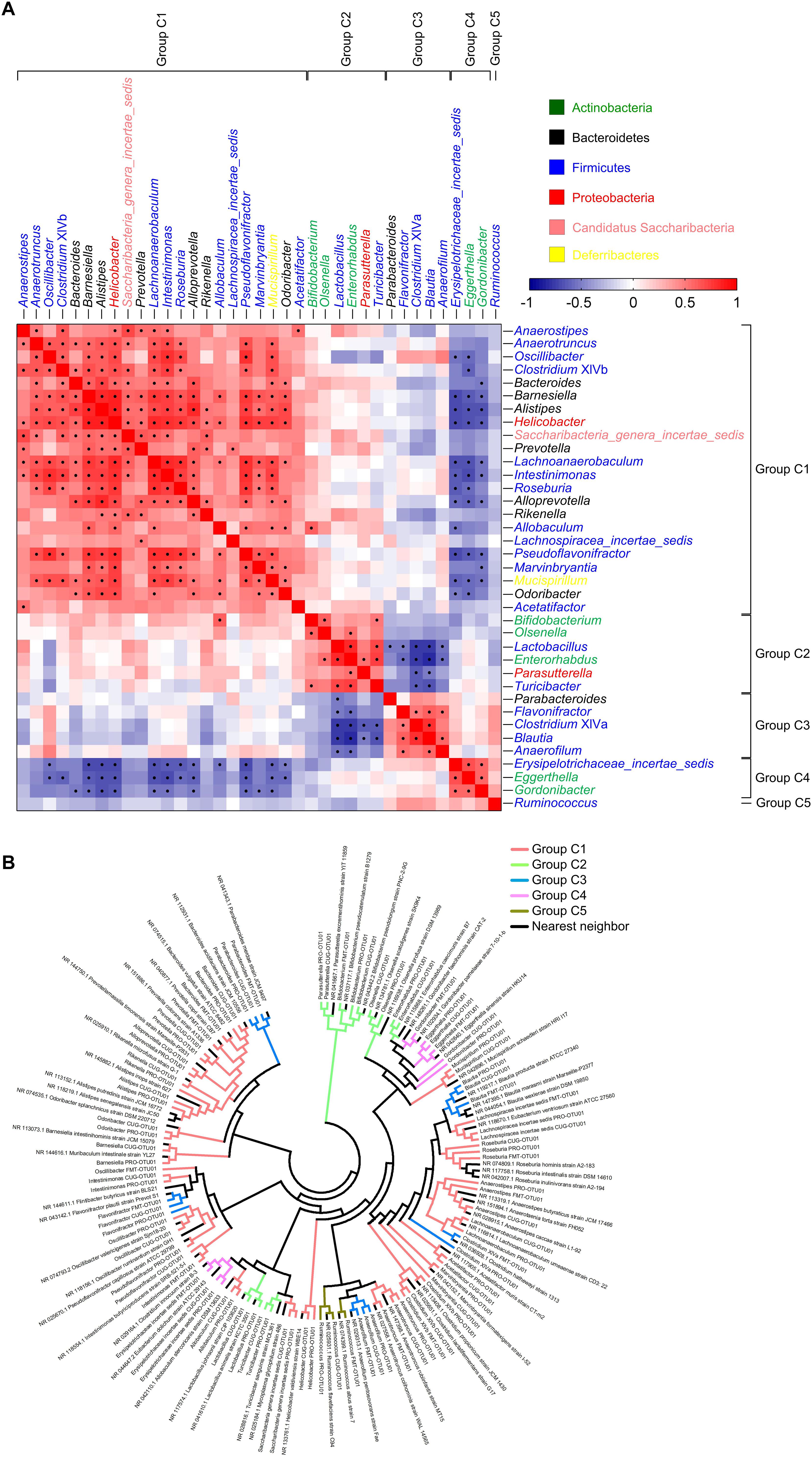 Wangcore Frontiers Core Gut Bacteria Analysis Of Healthy Mice