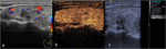 www.frontiersin.org