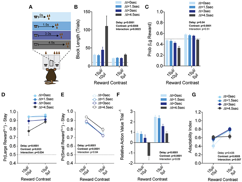 Frontiers  Decision Making as a Learned Skill in Mice and Humans