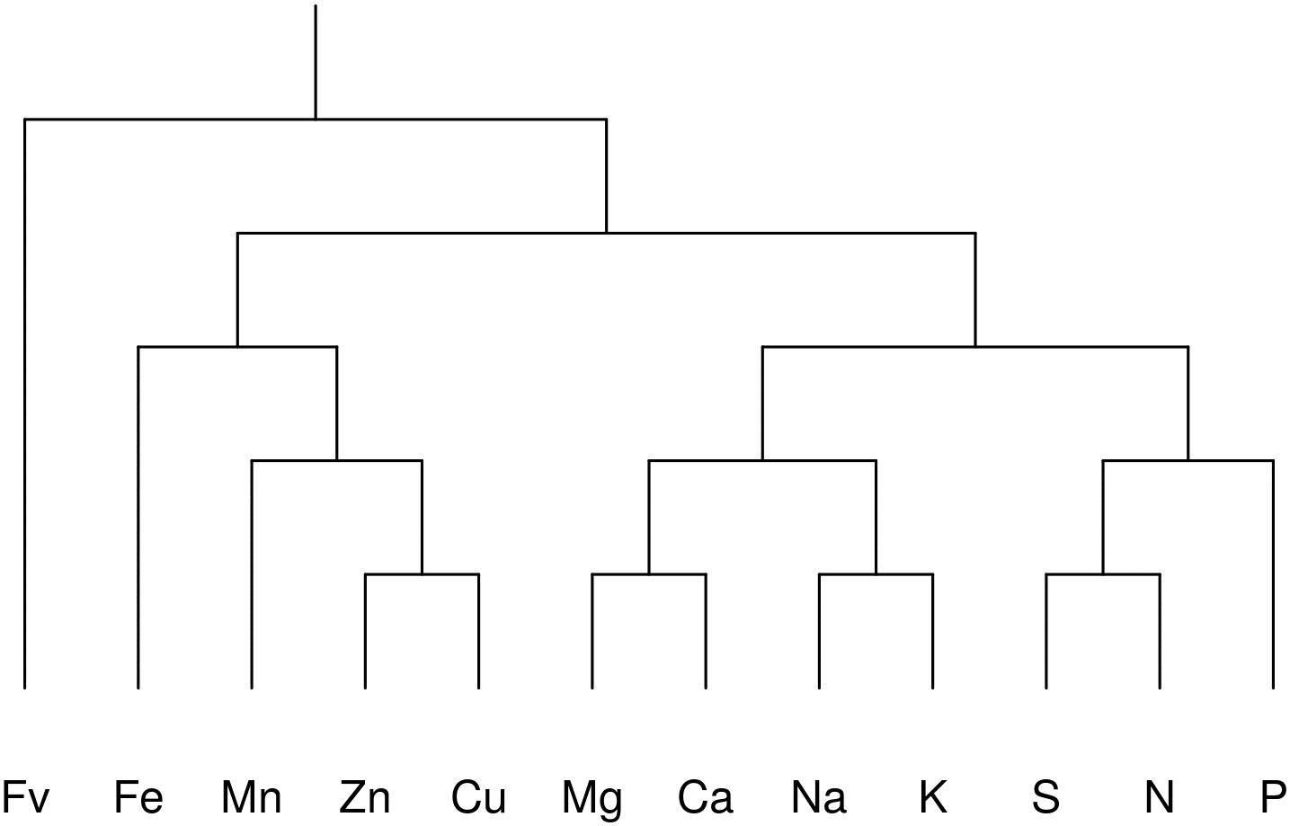 Frontiers The Ionomics Of Lettuce Infected By Xanthomonas Campestris Pv Vitians Plant Science