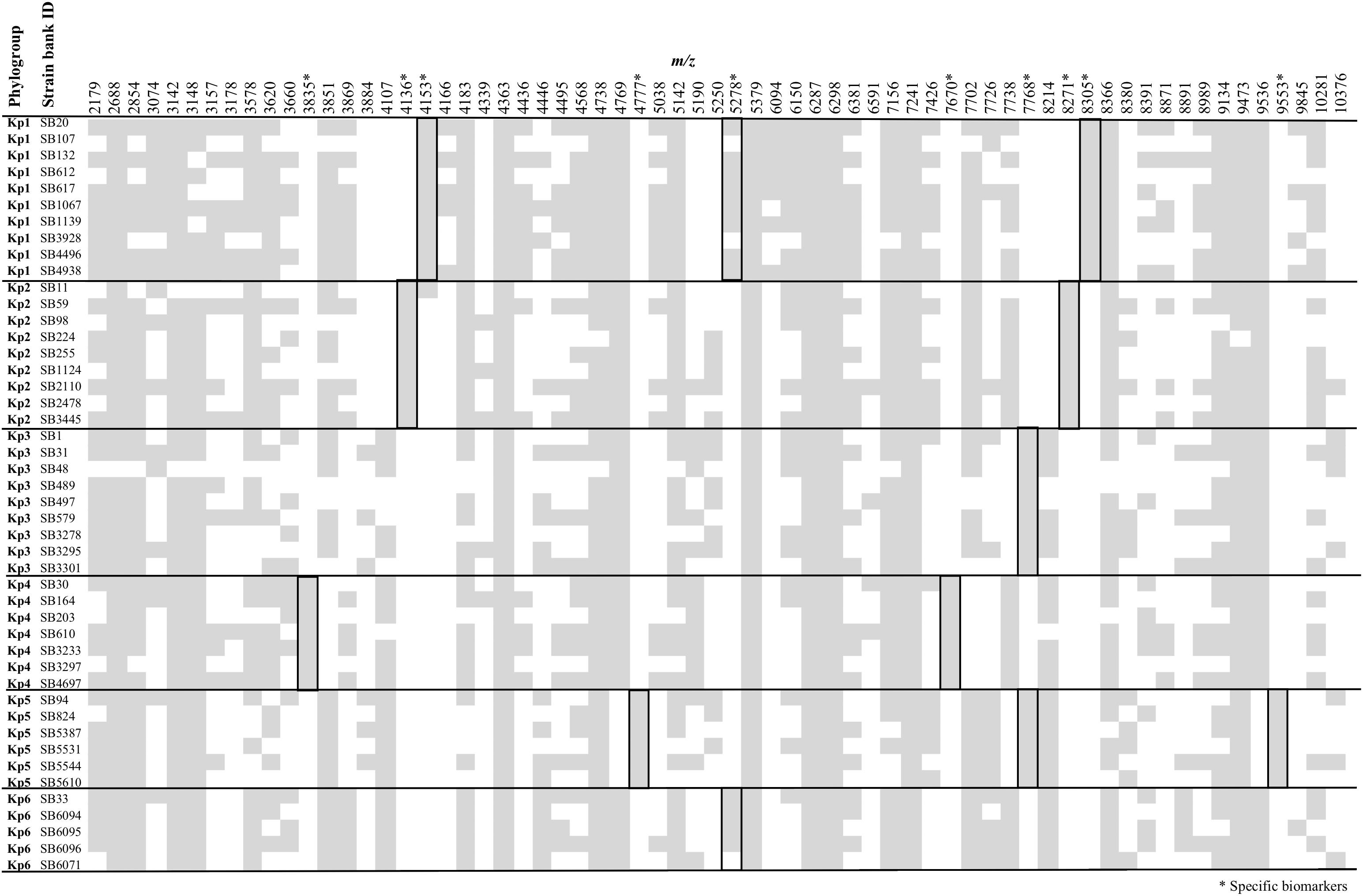 Klebsiella Pneumoniae Identification Flow Chart