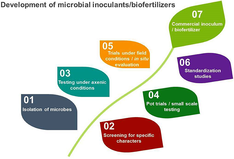 Microorganisms, Free Full-Text