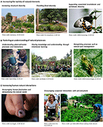 www.frontiersin.org