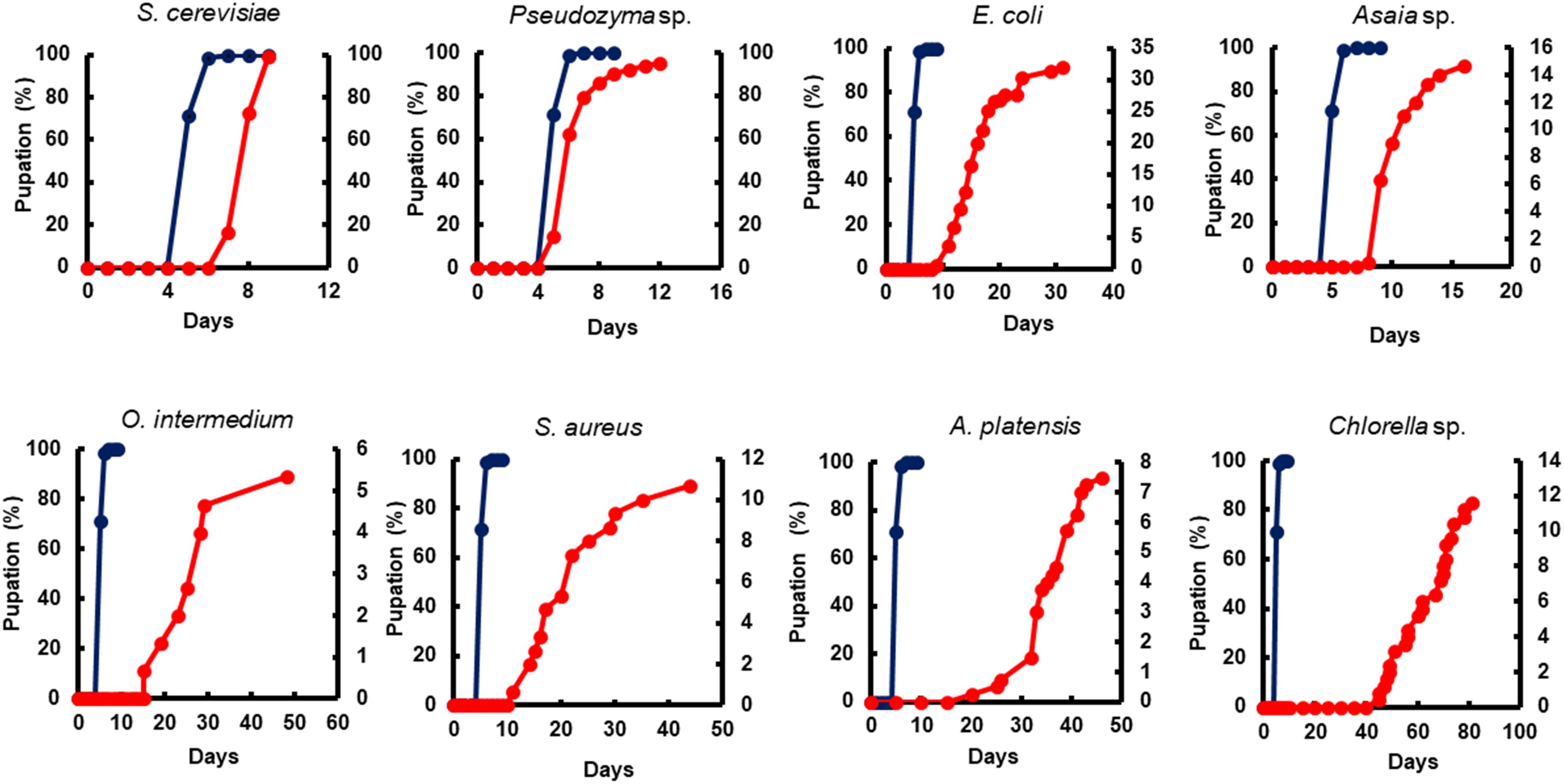 Frontiers - Microorganism-Based Larval Diets Affect Mosquito Development, Size and Nutritional ...