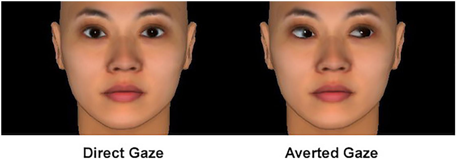 Frontiers  Implicit Perceptions of Closeness From the Direct Eye Gaze
