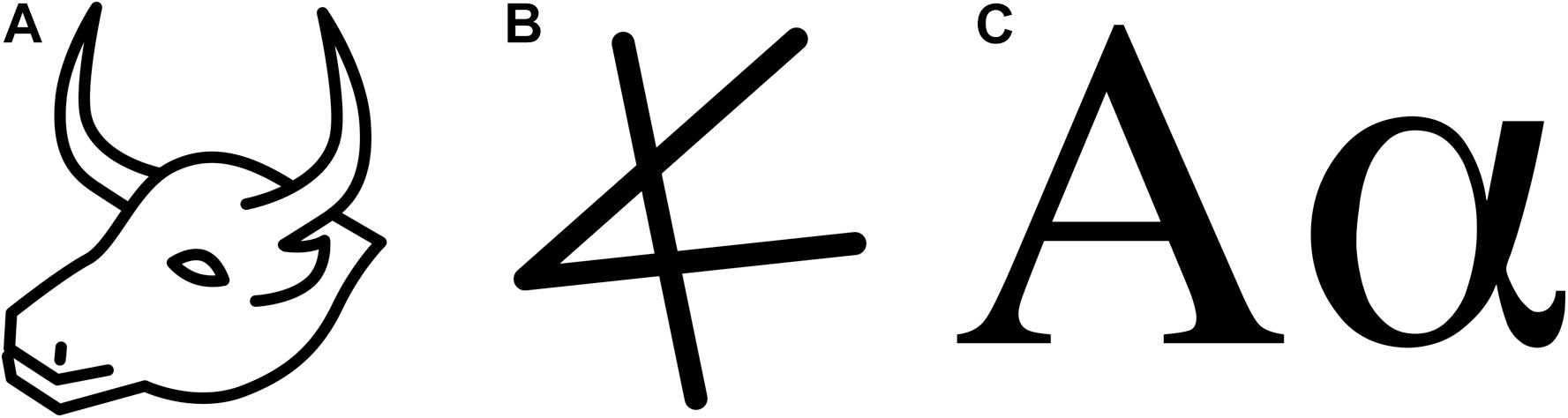 www.frontiersin.org
