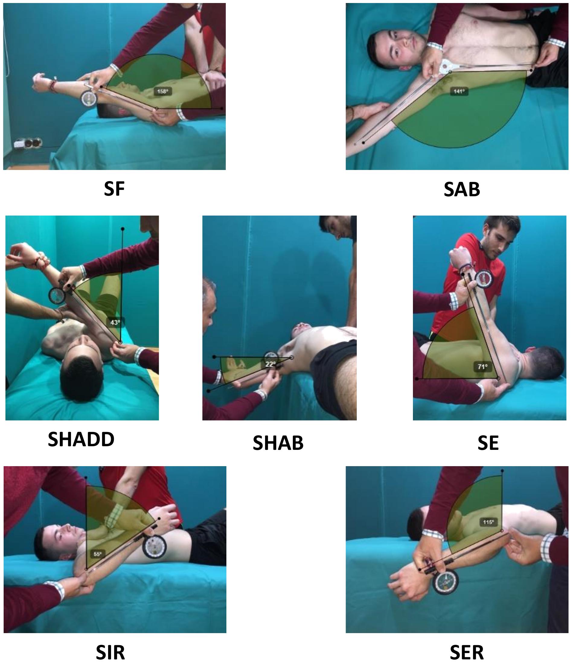 shoulder active range of motion degrees