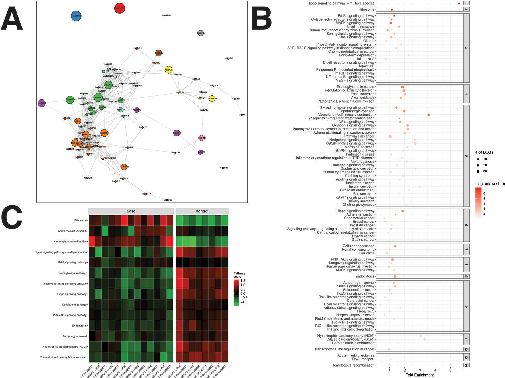 Frontiers pathfindR An R Package for Comprehensive Identification of Enriched Pathways in